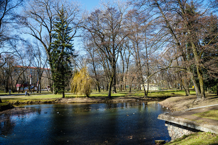 Park in the center of the city in sunny weather in early springの写真素材