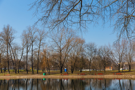 Beautiful park in the center of the city in sunny weather in early springの写真素材