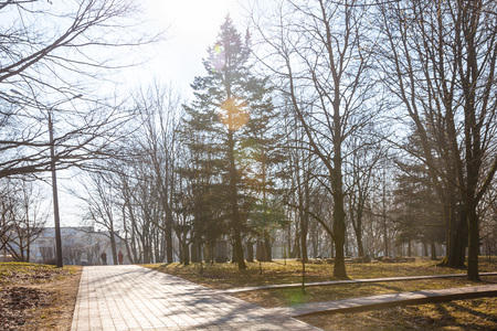 Beautiful park in the center of the city in sunny weather in early spring