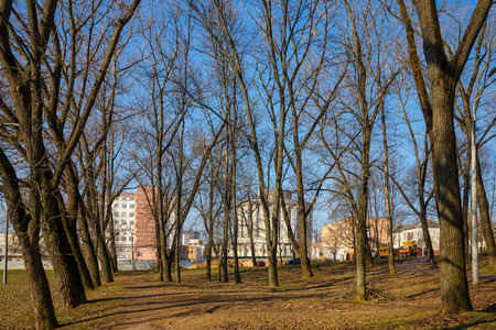 Beautiful park in the center of the city in sunny weather in early springの写真素材