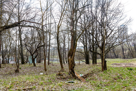 Abandoned park in the center of the city in early spring in warm sunny weatherの写真素材
