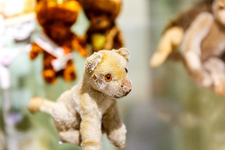 Beautiful teddy bears from around the world stand on the shelf in a toy storeの写真素材