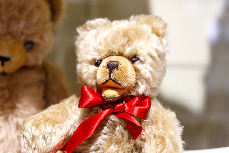 Beautiful teddy bears from around the world stand on the shelf in a toy storeの写真素材