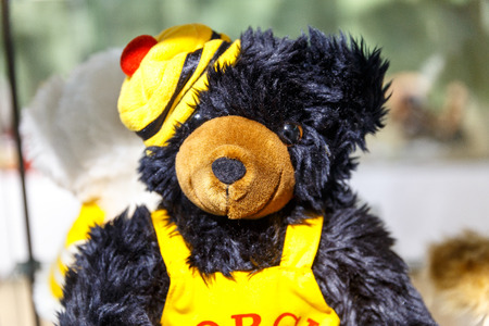 Beautiful teddy bears from around the world stand on the shelf in a toy storeの写真素材