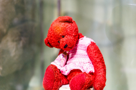 Beautiful teddy bears from around the world stand on the shelf in a toy storeの写真素材