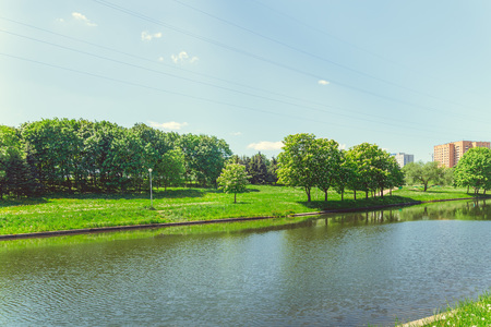 Green park with a lake in the center of the city I have a clear sunny summer weatherの写真素材