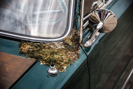 Old rusty submerged car with moss on the bodyの写真素材