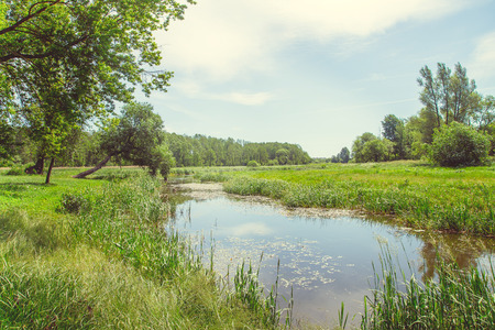 River on nature in the countryside in clear sunny weather in summerの写真素材