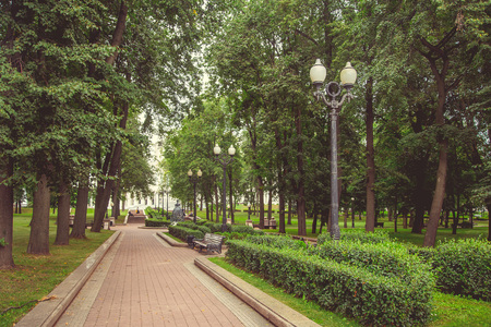 Park in the city center in sunny summer weatherの写真素材