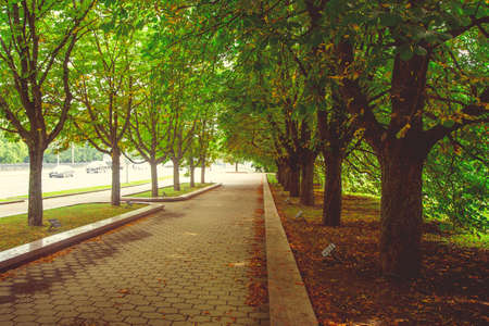 Park in the city center in sunny summer weather