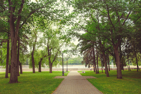 Park in the city center in sunny summer weatherの写真素材