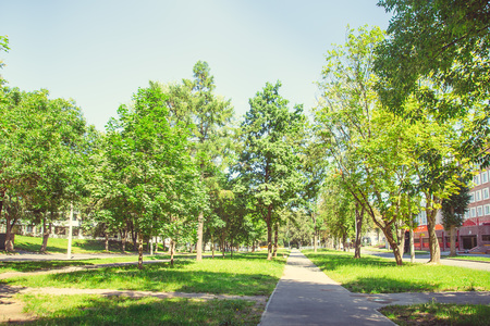 A deserted boulevard in the center of the city in bright sunny summer weatherの写真素材
