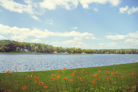 Park in the city center in bright sunny summer weatherの写真素材