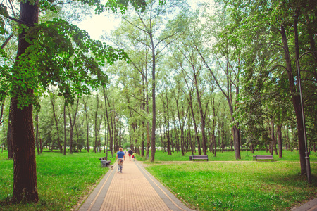 Park in the city center in bright sunny summer weatherの写真素材