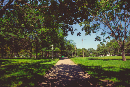 Park in the city center in sunny clear weatherの写真素材
