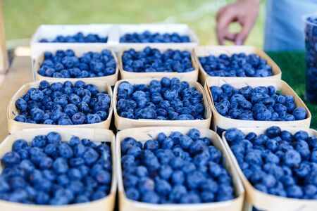 Delicious ripe blueberries lie in baskets