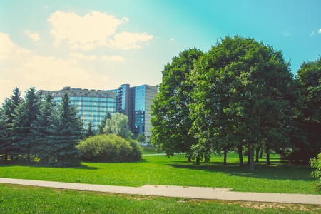 Park in the city center in sunny clear summer weatherの写真素材