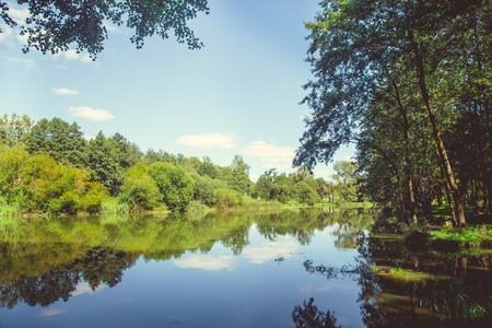 Forest in the city center in sunny clear summer weather