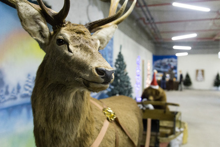 MINSK, BELARUS - OCTOBER 10, 2017: NEW YEAR AND CHRISTMAS FURNITURE TOY AND SOUVENIRS SHOPのeditorial素材