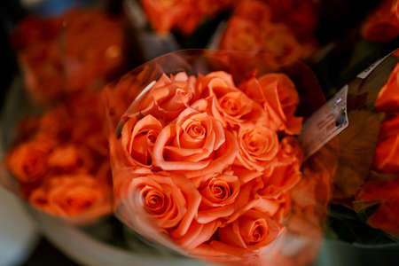 Bunch of fresh roses at flower shopの写真素材