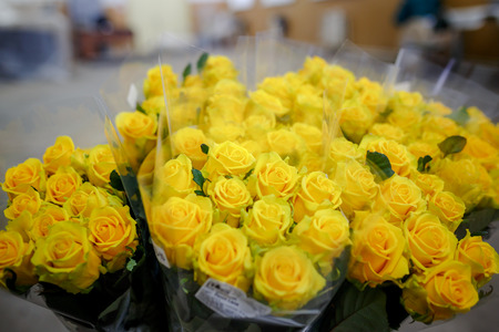 Bunch of fresh roses at flower shopの写真素材