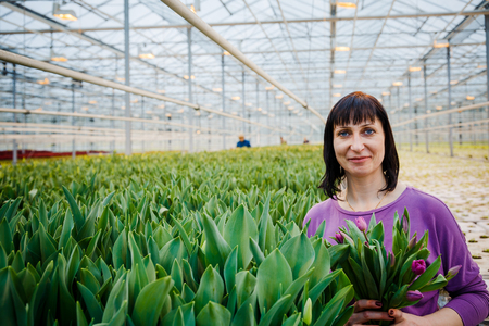 MINSK, BELARUS - MAY 1, 2017: Happy florist working in a greenhouse at a nursery collecting fresh roses for sale in her shopのeditorial素材