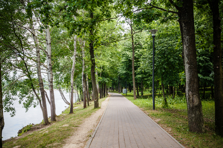 Trees and walkway on green grass field in the parkの写真素材