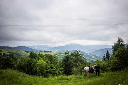 Carpathian forest before rainy night. Landscape with pine forests and mountains in summer. Zakarpattya, Ukraine.の写真素材