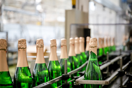bottles with champagne wine are moving along the conveyor at the factory of grape and sparkling wine