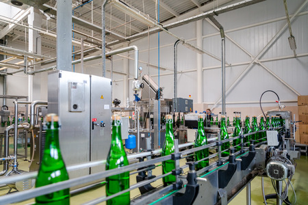 bottles with champagne wine are moving along the conveyor at the factory of grape and sparkling wine