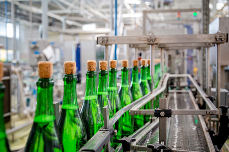 bottles with champagne wine are moving along the conveyor at the factory of grape and sparkling wine
