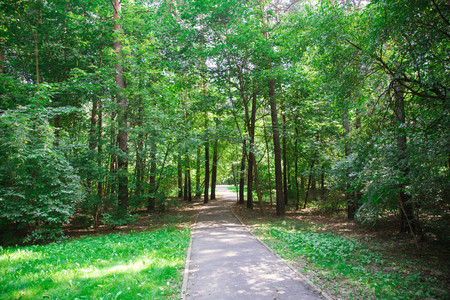 Park in the city center in sunny bright summer weatherの写真素材