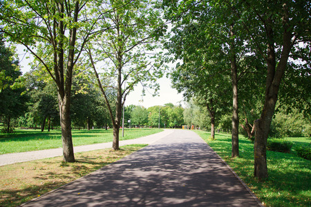 Park in the city center in sunny bright summer weatherの写真素材