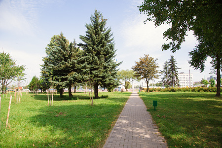 Park in the city center in sunny bright summer weatherの写真素材