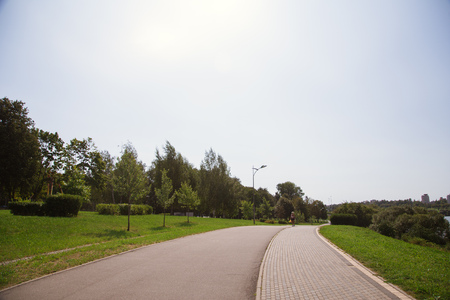 Park in the city center in sunny bright summer weatherの写真素材