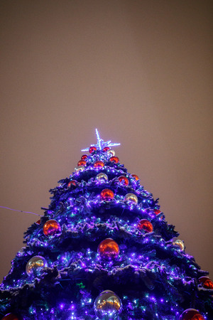 beautiful christmas tree in the city center at nightの写真素材