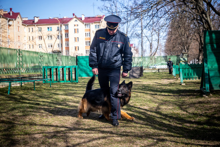 MINSK, BELARUS - 1 MARTH, 2019: a policeman trains a service dogのeditorial素材