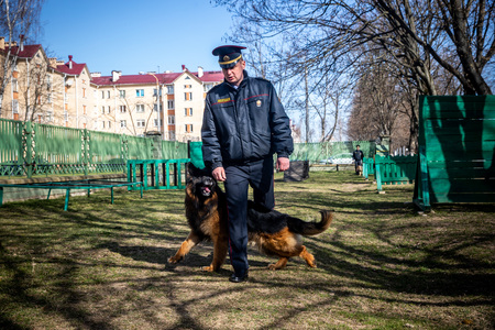 MINSK, BELARUS - 1 MARTH, 2019: a policeman trains a service dogのeditorial素材