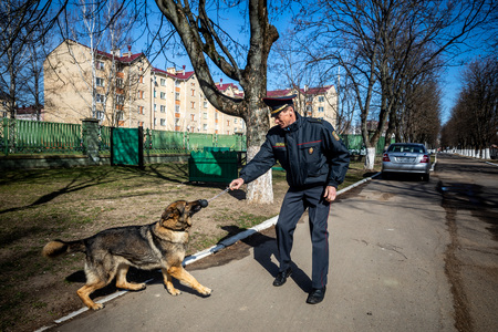 MINSK, BELARUS - 1 MARTH, 2019: a policeman trains a service dogのeditorial素材