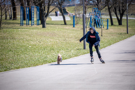 MINSK, BELARUS - 1 MARTH, 2019: children and adults walk in the park and ride roller skates and bicyclesのeditorial素材