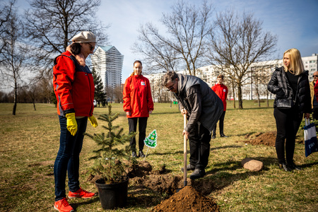 MINSK, BELARUS - 1 MARTH, 2019: friendly family plants a treeのeditorial素材