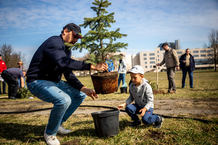 MINSK, BELARUS - 1 MARTH, 2019: friendly family plants a treeのeditorial素材