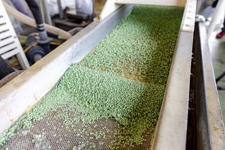 factory for the production of biodegradable eco-friendly shopping bagsの写真素材