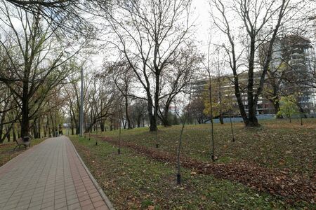 beautiful square in autumnの写真素材