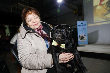 MINSK, BELARUS - February 25, 2020: the owner holds a beautiful pug in his armsのeditorial素材