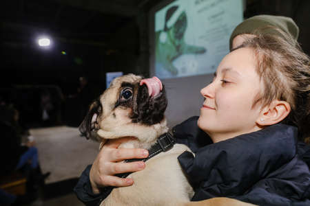 MINSK, BELARUS - February 25, 2020: the owner holds a beautiful pug in his armsのeditorial素材