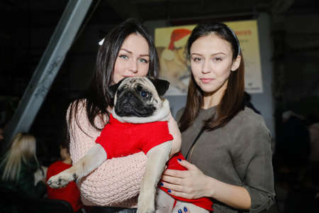 MINSK, BELARUS - February 25, 2020: the owner holds a beautiful pug in his armsのeditorial素材