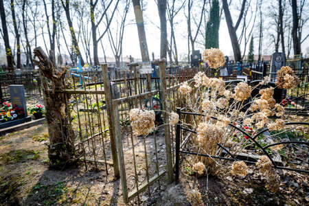 MINSK, BELARUS - 1 MAY, 2019: abandoned Orthodox cemetery in sunny spring weatherのeditorial素材