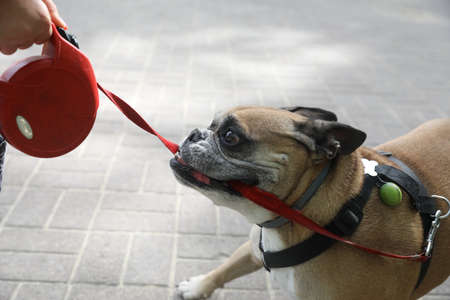 creating braille books for the blindの写真素材