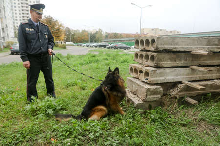 MINSK, BELARUS - 1 March, 2022: police dog looking for drugsのeditorial素材